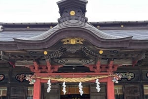 Tokyo: Hitachi seaside Park/Oarai isosaki shrine privat tur