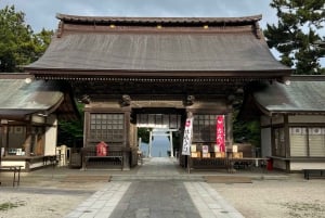 Tokyo: Hitachi seaside Park/Oarai isosaki shrine privat tur