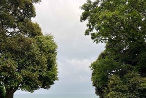 Tokyo: Hitachi seaside Park/Oarai isosaki shrine privat tur