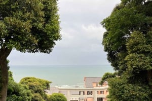 Tokyo: Hitachi seaside Park/Oarai isosaki shrine privat tur