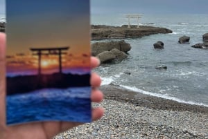 Tokyo: Hitachi seaside Park/Oarai isosaki shrine privat tur