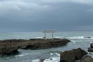 Tokyo: Hitachi seaside Park/Oarai isosaki shrine privat tur