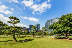 Tokyo: Hop-On Hop-Off Sightseeing Bus Ticket