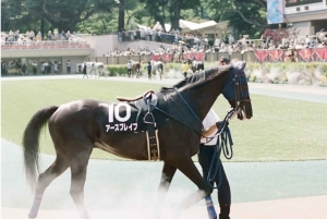 Tokio: paardenrace-ervaring met een lokale fan