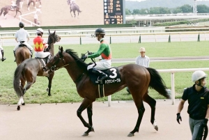 Tokio: paardenrace-ervaring met een lokale fan