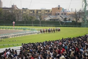 Tokio: paardenrace-ervaring met een lokale fan