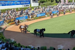 Tokio: paardenrace-ervaring met een lokale fan