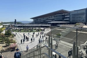 Tokio: paardenrace-ervaring met een lokale fan