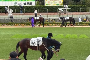 Tokio: paardenrace-ervaring met een lokale fan