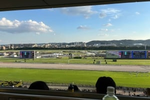 Tokio: paardenrace-ervaring met een lokale fan