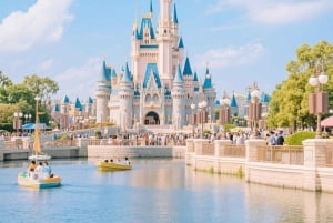 Tokio: Hotellikuljetus Tokion Disneylandiin tai DisneySea-teemapuistoon ja takaisin