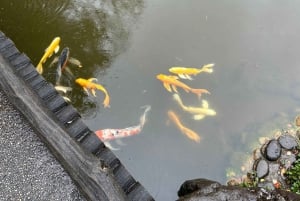 Tokio: Kaiserpalast, Edo-Burg und historische Tour