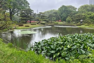 Tokio: Kaiserpalast, Edo-Burg und historische Tour