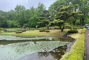 Tokio: Kaiserpalast, Edo-Burg und historische Tour