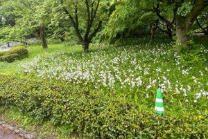 Tokyo: Kejsarpalatset, Edo-slottet och historisk rundtur