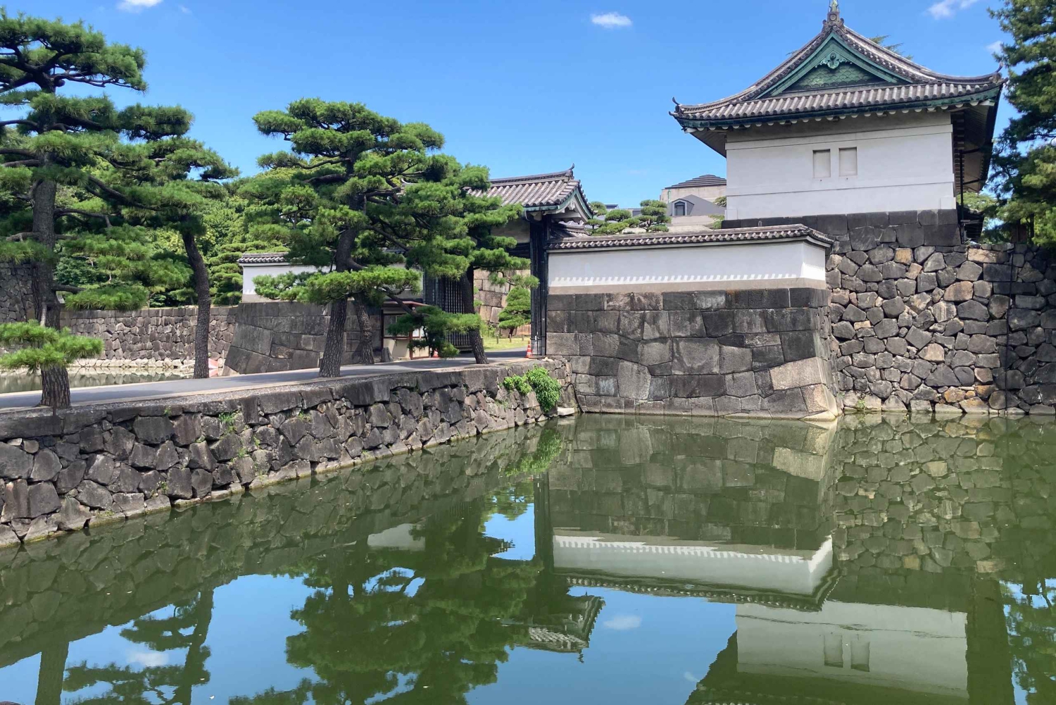 Tokyo Imperial Palace Historical Walk and Food Tasting Tour