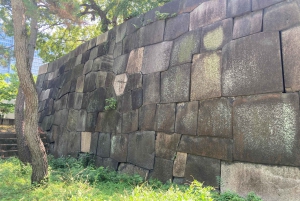 Историческая прогулка по Императорскому дворцу в Токио и дегустация блюд