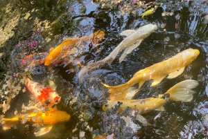 Историческая прогулка по Императорскому дворцу в Токио и дегустация блюд