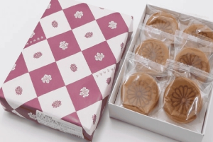 Историческая прогулка по Императорскому дворцу в Токио и дегустация блюд