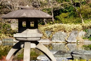 Tokyo: Imperial Palace Shogun Historical Walking Tour