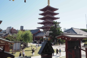 Tokyo: Palazzo Imperiale, Tempio Sensō-ji e Tour della Torre di Tokyo