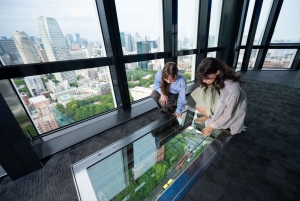 Tokyo: Palazzo Imperiale, Tempio Sensō-ji e Tour della Torre di Tokyo