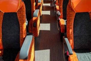 Tokyo: Palazzo Imperiale, Tempio Sensō-ji e Tour della Torre di Tokyo