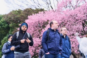 Tokyo: Rundvandring i kejsarpalatset och Tokyo Castle