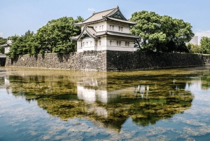 Tokyo: Rundvandring i kejsarpalatset och Tokyo Castle