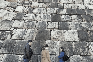 Tokyo: Rundvandring i kejsarpalatset och Tokyo Castle