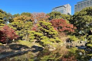 Tokyo: Rundvandring i kejsarpalatset och Tokyo Castle