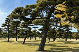 Tokyo: Rundvandring i kejsarpalatset och Tokyo Castle