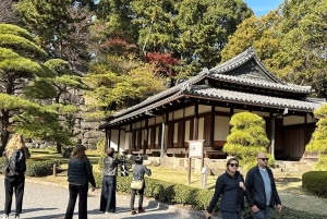 Tokyo: Rundvandring i kejsarpalatset och Tokyo Castle