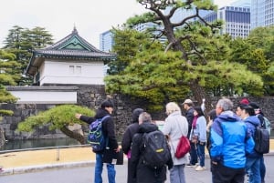 Tokyo: Rundvandring i kejsarpalatset och Tokyo Castle