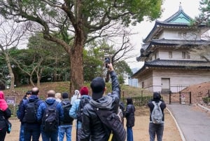 Tokyo: Rundvandring i kejsarpalatset och Tokyo Castle