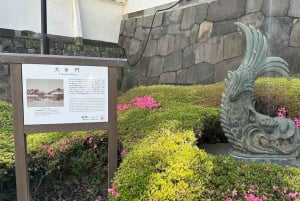 Tokio: Kaiserpalast, Tokyo Tower und Asakusa-Tempel-Tour