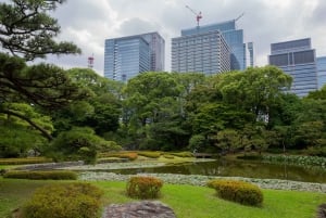 Tokio: rondleiding door het keizerlijk paleis, de toren en het station
