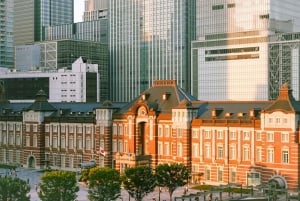 Tokio: rondleiding door het keizerlijk paleis, de toren en het station