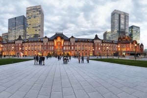 Tokio: rondleiding door het keizerlijk paleis, de toren en het station