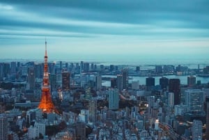 Tokio: rondleiding door het keizerlijk paleis, de toren en het station