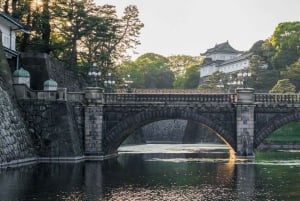 Keiserpalasset-tur: Oppdag samuraienes historie med en guide