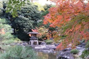 Keiserpalasset-tur: Oppdag samuraienes historie med en guide