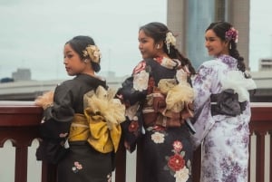 Keiserpalasset-tur: Oppdag samuraienes historie med en guide