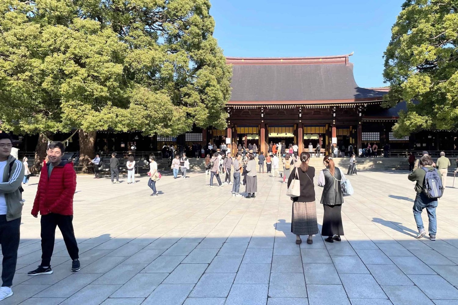 Tokyo: Meiji Jingu, Harajuku, Shibuya, and Shijuku Tour