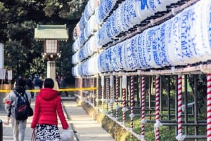 Tokyo: Meiji Jingu, Harajuku, Shibuya, and Shijuku Tour