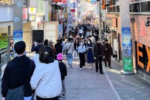 Tokyo: Meiji Jingu, Harajuku, Shibuya, and Shijuku Tour