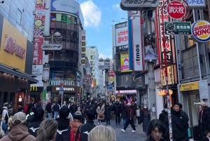 Tokyo: Meiji Jingu, Harajuku, Shibuya, and Shijuku Tour