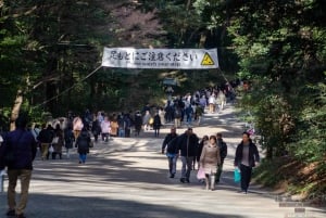 Tokyo: Meiji Jingu, Harajuku, Shibuya, and Shijuku Tour