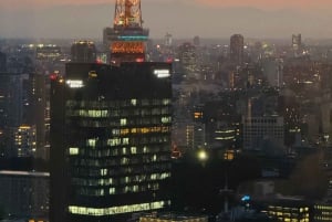Tokyo in Frames: Instagram-Worthy Private Full-Day City Tour