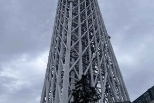 Tokyo in Frames: Instagram-Worthy Private Full-Day City Tour